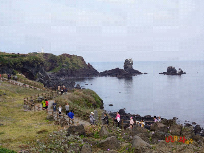 제주도 관광정보'