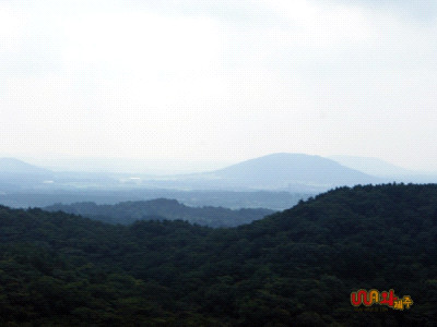 제주도 관광정보'