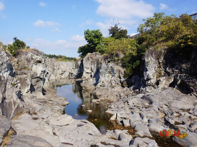 제주도 관광정보'