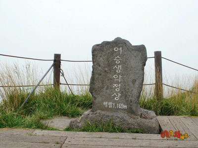 제주도 관광정보'