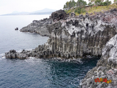 제주도 관광정보'