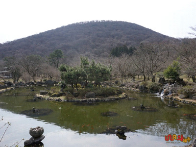 제주도 관광정보'