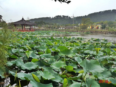 제주도 관광정보'