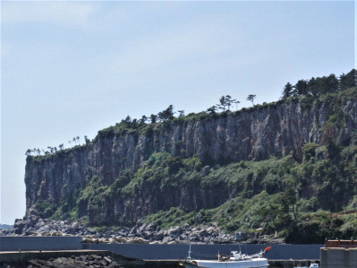 제주도 관광정보'