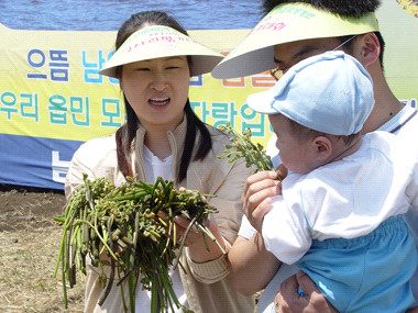 제주도 관광정보'