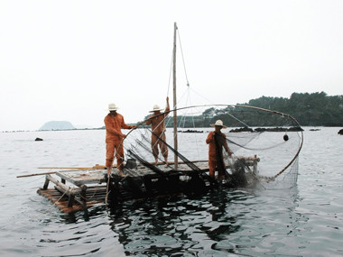 제주도 관광정보'